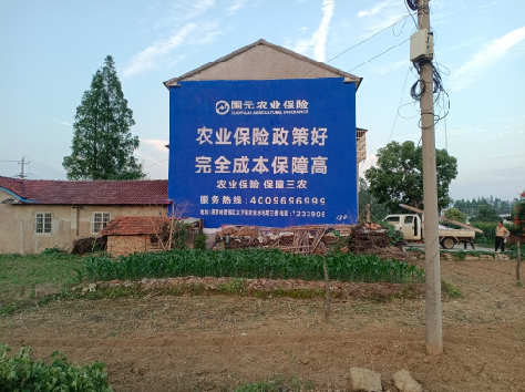 宜川墙体广告为何受追捧？